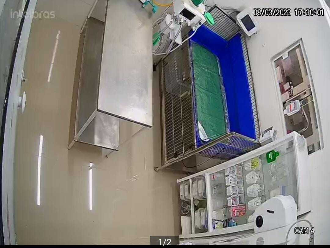 Galeria